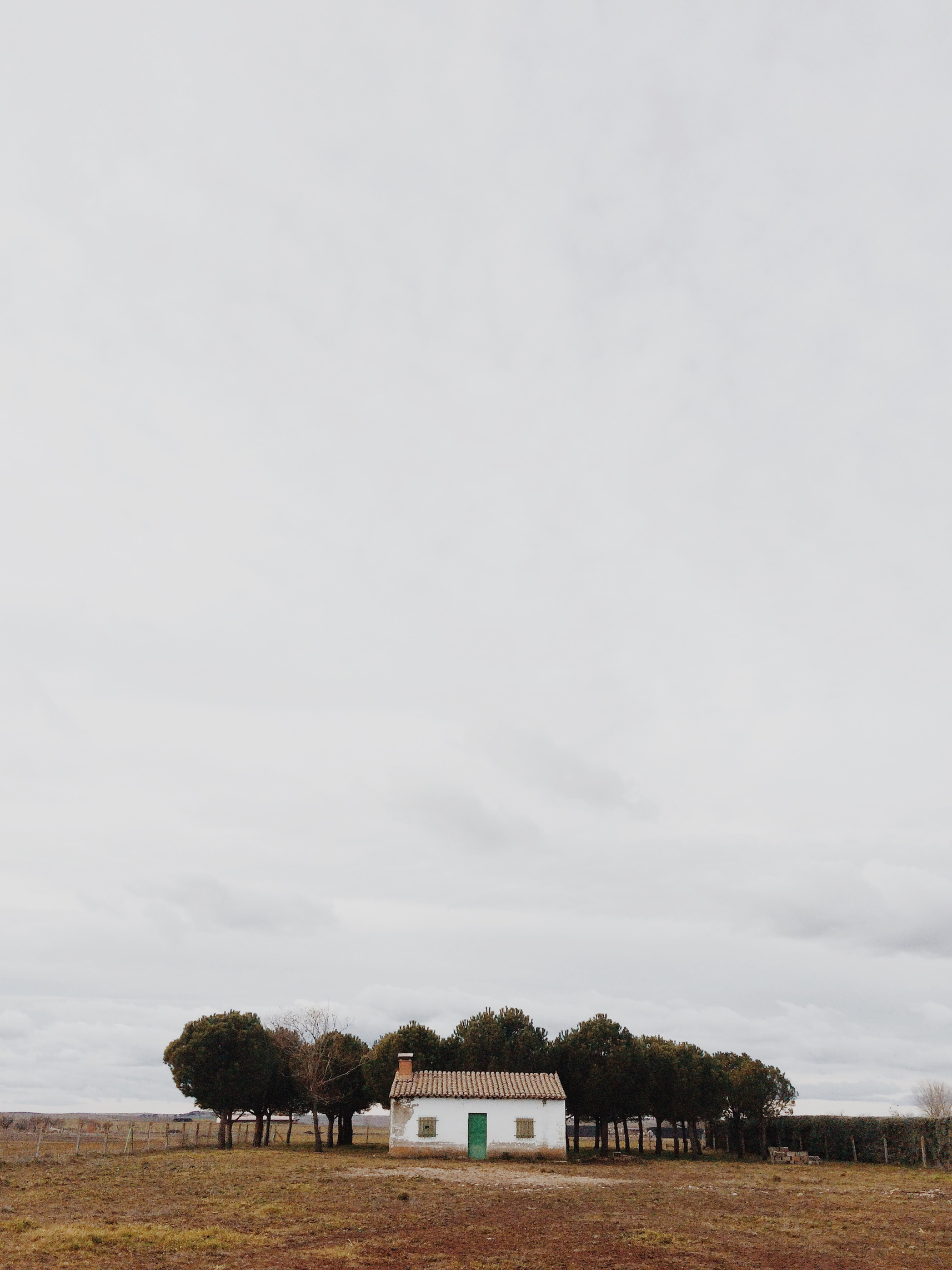 House and trees 